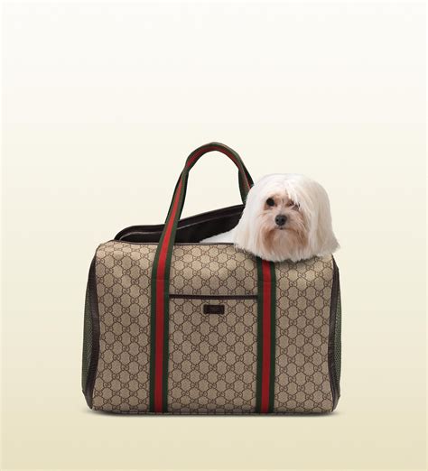 gucci dog bed bag